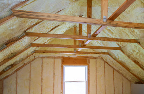 Best Insulation Removal  in Coopertown, TN