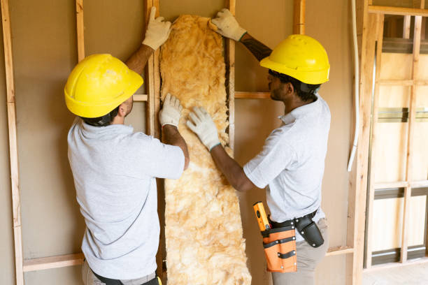Best Insulation Contractors for Homes  in Coopertown, TN