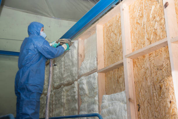 Best Attic Insulation Installation  in Coopertown, TN